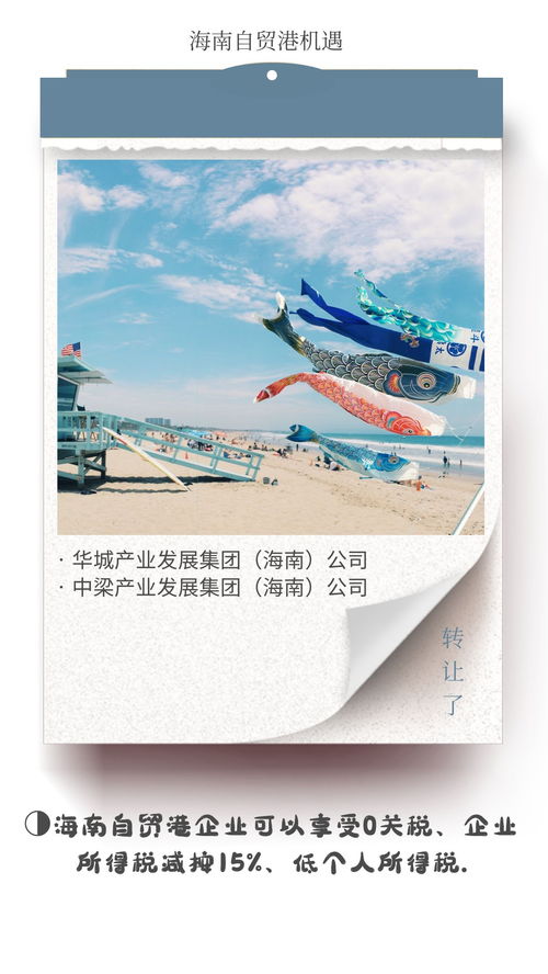 海南自貿(mào)港文旅集團(tuán)與德國(guó)企業(yè)對(duì)比 稅收優(yōu)勢(shì)凸顯，文化藝術(shù)交流新機(jī)遇